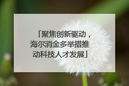 聚焦创新驱动，海尔消金多举措推动科技人才发展