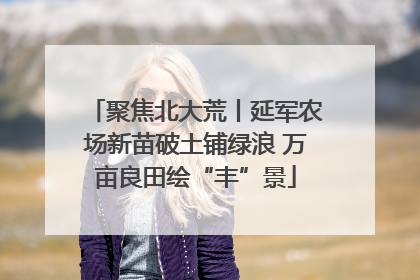 聚焦北大荒丨延军农场新苗破土铺绿浪 万亩良田绘“丰”景