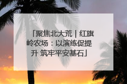 聚焦北大荒｜红旗岭农场：以演练促提升 筑牢平安基石