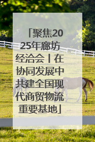 聚焦2025年廊坊经洽会丨在协同发展中共建全国现代商贸物流重要基地