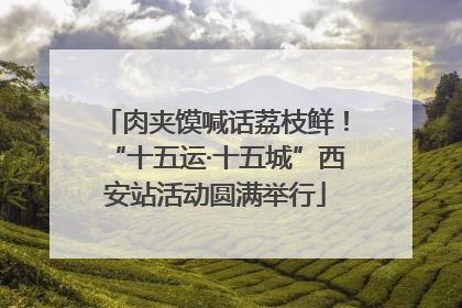 肉夹馍喊话荔枝鲜！“十五运·十五城”西安站活动圆满举行