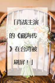肖战主演的《藏海传》在台湾被刷屏！