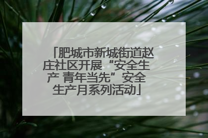 肥城市新城街道赵庄社区开展“安全生产 青年当先”安全生产月系列活动