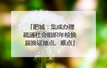 肥城：集成办理 疏通社会组织年检换届换证堵点、难点