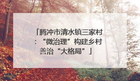 腾冲市清水镇三家村：“微治理”构建乡村善治“大格局”