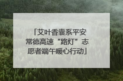 艾叶香囊系平安 常德高速“路灯”志愿者端午暖心行动