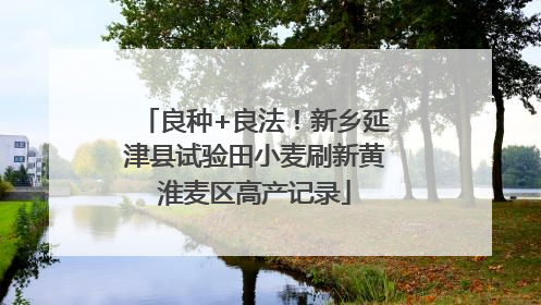 良种+良法！新乡延津县试验田小麦刷新黄淮麦区高产记录
