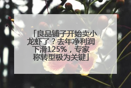 良品铺子开始卖小龙虾了?去年净利润下滑125%,专家称转型极为关键