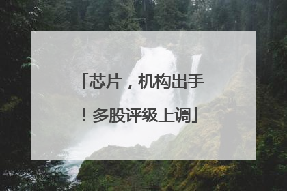 芯片，机构出手！多股评级上调