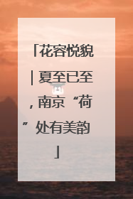 花容悦貌｜夏至已至，南京“荷”处有美韵