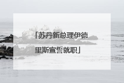 苏丹新总理伊德里斯宣誓就职