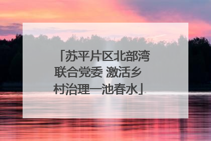 苏平片区北部湾联合党委 激活乡村治理一池春水
