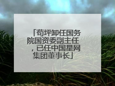 苟坪卸任国务院国资委副主任，已任中国星网集团董事长