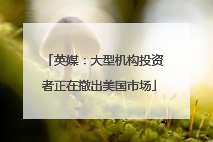 英媒：大型机构投资者正在撤出美国市场