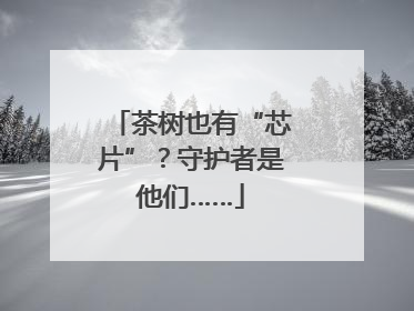 茶树也有“芯片”？守护者是他们……