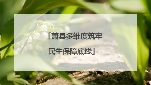 萧县多维度筑牢民生保障底线