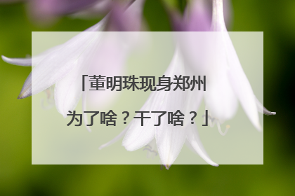 董明珠现身郑州 为了啥？干了啥？