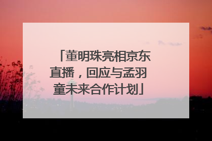 董明珠亮相京东直播，回应与孟羽童未来合作计划