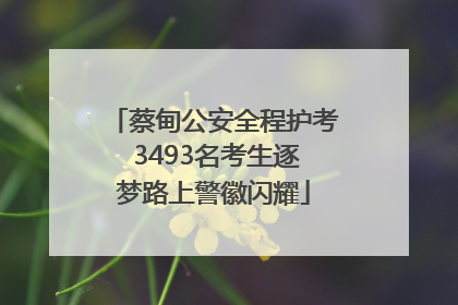 蔡甸公安全程护考 3493名考生逐梦路上警徽闪耀