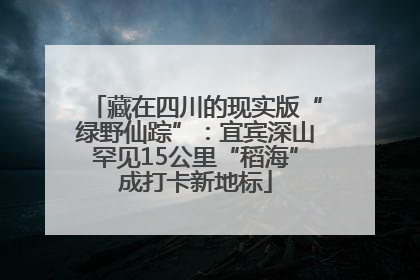 藏在四川的现实版“绿野仙踪”：宜宾深山罕见15公里“稻海”成打卡新地标