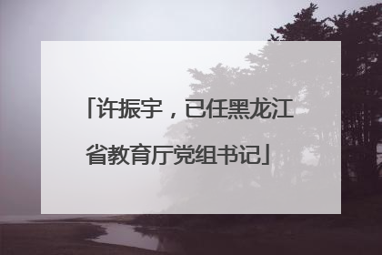 许振宇，已任黑龙江省教育厅党组书记