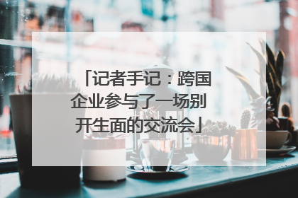 记者手记：跨国企业参与了一场别开生面的交流会