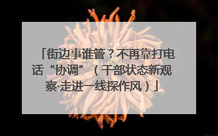 街边事谁管？不再靠打电话“协调”（干部状态新观察·走进一线探作风）