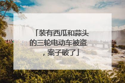 装有西瓜和蒜头的三轮电动车被盗，案子破了