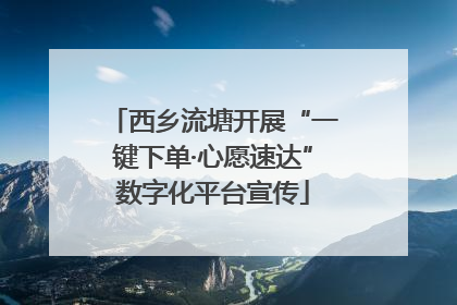 西乡流塘开展“一键下单·心愿速达”数字化平台宣传