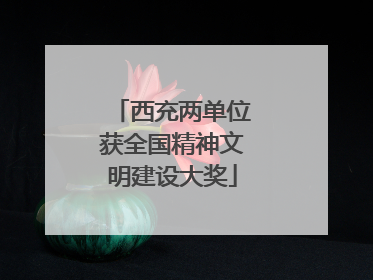 西充两单位获全国精神文明建设大奖