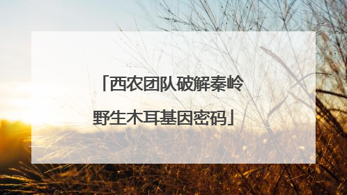 西农团队破解秦岭野生木耳基因密码