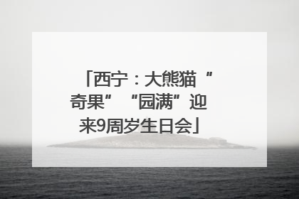 西宁：大熊猫“奇果”“园满”迎来9周岁生日会