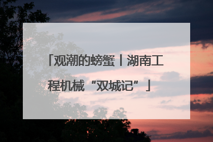 观潮的螃蟹丨湖南工程机械“双城记”