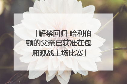 解禁回归 哈利伯顿的父亲已获准在包厢观战主场比赛