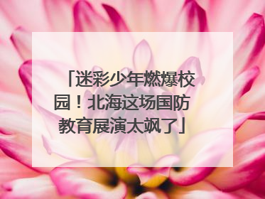 迷彩少年燃爆校园！北海这场国防教育展演太飒了