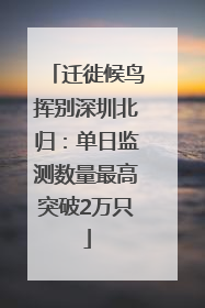 迁徙候鸟挥别深圳北归：单日监测数量最高突破2万只