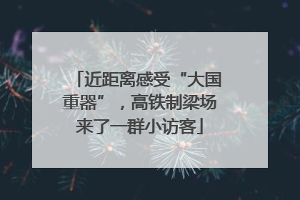 近距离感受“大国重器”，高铁制梁场来了一群小访客
