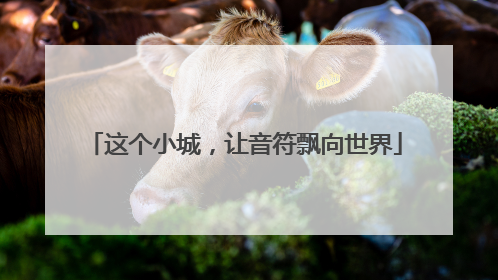 这个小城，让音符飘向世界