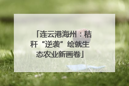 连云港海州：秸秆“逆袭”绘就生态农业新画卷
