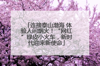 连接泰山渤海 体验人间烟火！“网红”绿皮小火车，新时代迎来新使命