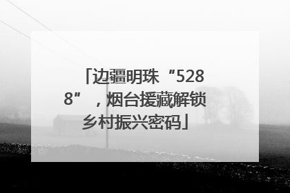边疆明珠“5288”，烟台援藏解锁乡村振兴密码