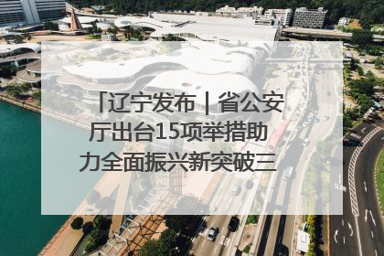 辽宁发布｜省公安厅出台15项举措助力全面振兴新突破三年行动决胜之战