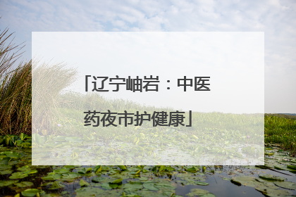 辽宁岫岩：中医药夜市护健康