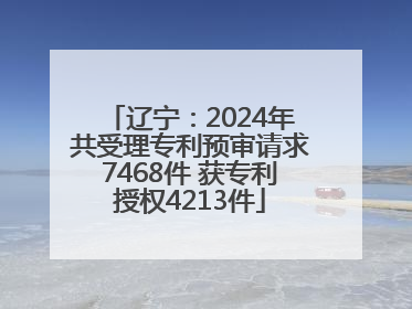 辽宁：2024年共受理专利预审请求7468件 获专利授权4213件