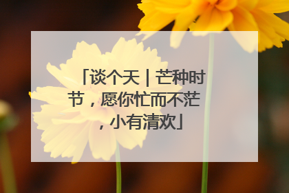 谈个天｜芒种时节，愿你忙而不茫，小有清欢