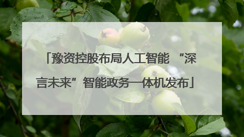 豫资控股布局人工智能 “深言未来”智能政务一体机发布