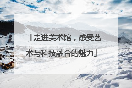走进美术馆，感受艺术与科技融合的魅力