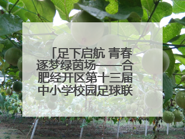 足下启航 青春逐梦绿茵场——合肥经开区第十三届中小学校园足球联赛圆满收官