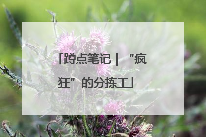 蹲点笔记｜“疯狂”的分拣工