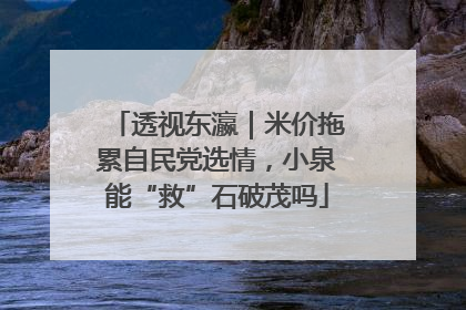 透视东瀛｜米价拖累自民党选情，小泉能“救”石破茂吗